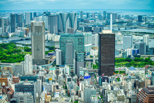 Aerial view of Tokyo Minato district skyscrapers from high viewpoint sunny day Japan
