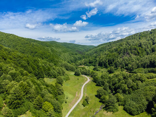 Fototapeta premium Aerial view of a narrow, unpaved rural road winding through lush green pastures, bordered by dense deciduous forests and a small stream