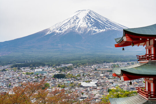 Panoramic scene of Chureito Pagoda overlooking Mount Fuji and Kawaguchiko area surrounded by trees and scenic Japanese landscape