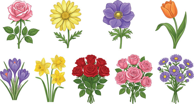 Elegant Floral Bouquets and Spring Blooms Vector Illustration Collection Featuring Red Roses Pink Roses and Purple Asters
