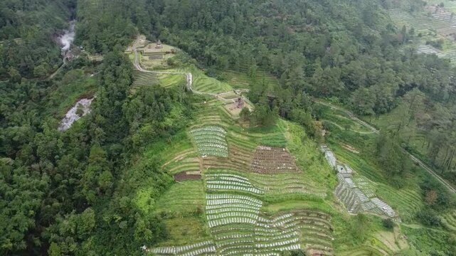Aerial Drone View of Gedong Songo Temple and Terraced Hills in Central Java Indonesia