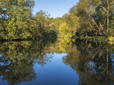 Trees reflected in the river Saale in the Saale valley not far from the Dornburg castles, Dornburg-Camburg, Thuringia, Germany