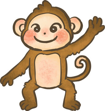 Monkey Illustration Vector