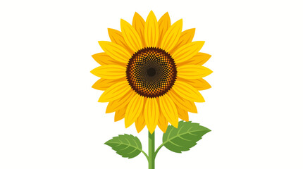 Fototapeta premium A vibrant, detailed illustration of a single, tall sunflower with bright yellow petals and a dark brown center, set against a clean white background.