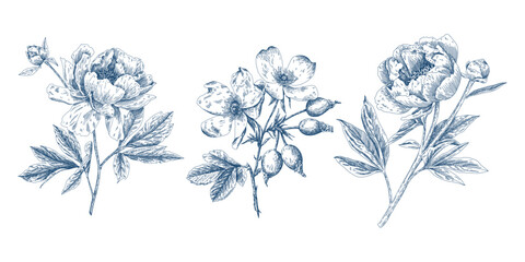 Fototapeta premium Vintage Blue Floral Seamless Pattern with Hand Drawn Peonies and Botanical Elements