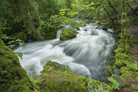 White water and rapids on the Trieb stream in the Triebtal nature reserve in Vogtland, Plauen, Saxony, Germany