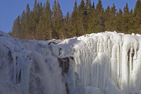 Snow-covered trees surround a frozen waterfall with impressive ice structures, winter, Sweden's highest waterfall, T&auml;nnforsen, &Aring;re&auml;lven, Are, J&auml;mtland, Sweden