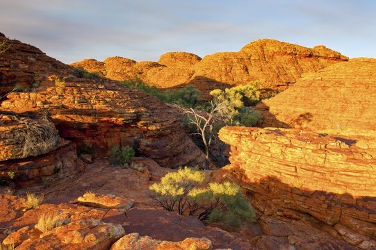 Kings Canyon, Northern Territory, Australia