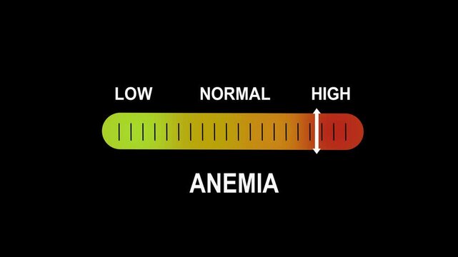 Animated medical gauge indicating anemia severity levels from low to risk with dynamic progress bar for clinical diagnostics, healthcare education, and laboratory test analysis