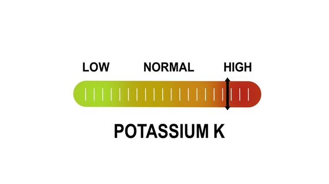 Animated potassium k level indicator gauge showing low normal and ranges for medical health diagnostics and nutritional analysis reports in a clean motion style