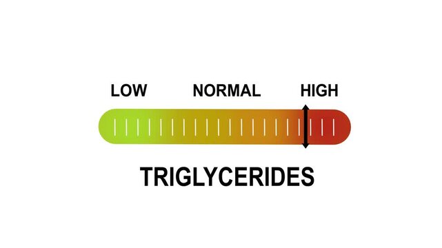 Animated triglycerides level indicator gauge showing fluctuating medical data from low to risk ranges for clinical health diagnostics, laboratory analysis, and cardiovascular