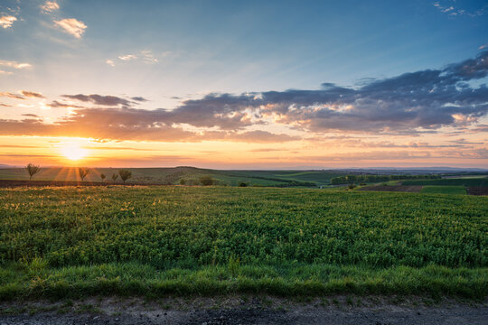Beautiful sunset over green agricultural field and rolling hills in rural landscape, dramatic sky with sunbeams, scenic panoramic view.