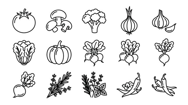 Vegetable icons in black line art.