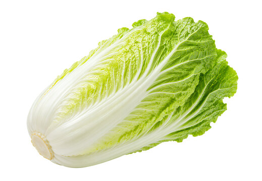 Chinakohl