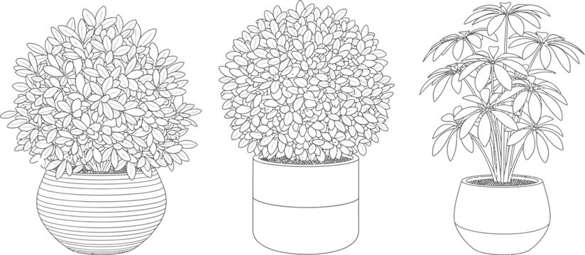 Set of three potted houseplants with decorative foliage in line art style for interior design projects