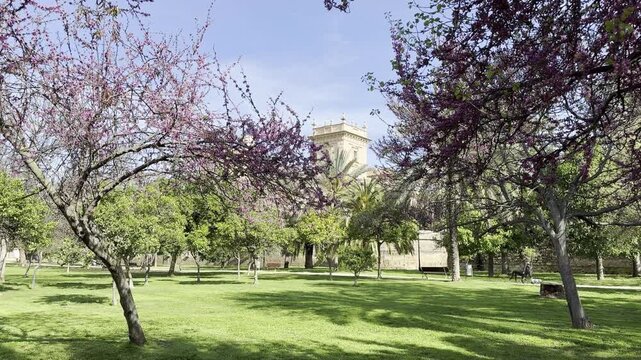 Jard&iacute;n del Turia Park Valencia Spain Sunny Day Urban Green Space View
