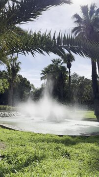 Jardines del Real Viveros Park Valencia Spain Sunny Day Urban Garden View