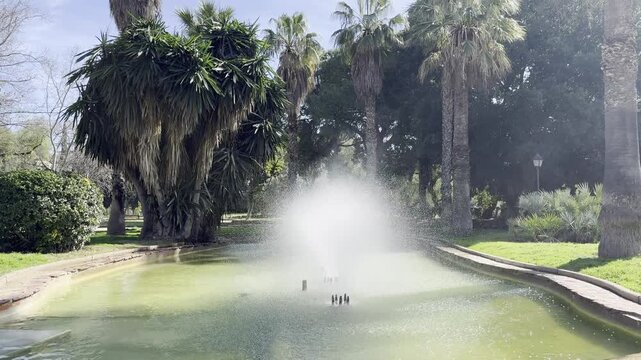 Jardines del Real Viveros Park Valencia Spain Sunny Day Urban Garden View