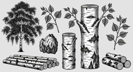 Wood logs and tree branches, forest products, nature illustration, woodworking concept, background © Steven