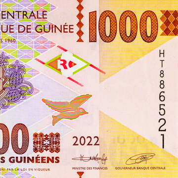 1000 Guinean Francs with a portrait of an African girl. African Guinean money close-up