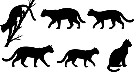 Big Cat Walking Silhouette Set – Tiger, Leopard, Cougar, Panther, Wild Cat Side View Icons © MinhajulIslam