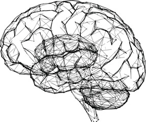 Digital Human Brain Concept Represented by a Complex Wireframe Network Mesh Illustration on White Background for Technology © IconicCreations