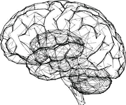 Digital Human Brain Concept Represented by a Complex Wireframe Network Mesh Illustration on White Background for Technology
