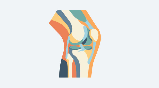 Stylized Medical Illustration Of Human Knee Joint Anatomy.