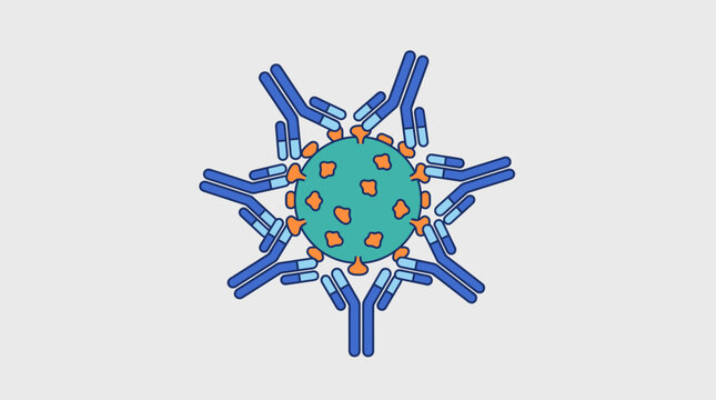 Antibodies Surrounding Virus Particle Illustrating Immune Binding.
