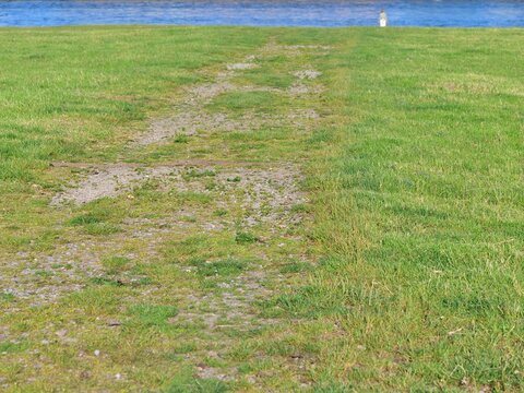 A low-angle medium shot showing a wide, flat dirt track cutting through a lush green grass field. The simple path leads directly towards a bright blue body of water along the horizon line. In the far 