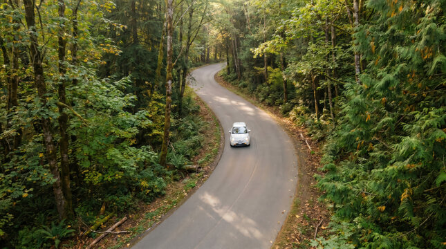 Sustainable mobility concept with EV driving on scenic forest highway
