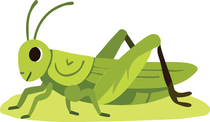 Fototapeta premium A cute green cartoon grasshopper sitting on the ground in a simple flat vector illustration style with bright colors and clean shapes.