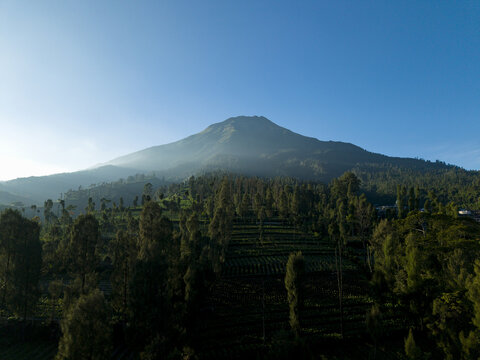 Aerial view of the majestic Mount Sumbing with terraced agricultural fields and lush green forests under a clear blue sky in Kecamatan Kalikajar, Jawa Tengah, Indonesia.