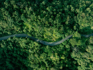 Obraz premium Nature landscape featuring a winding road in lush tropical forest. Perfect for themes of sustainable development, eco travel, green energy transition and responsible investment.