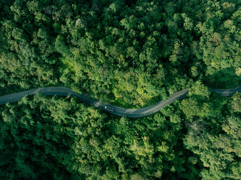 Nature landscape featuring a winding road in lush tropical forest. Perfect for themes of sustainable development, eco travel, green energy transition and responsible investment.