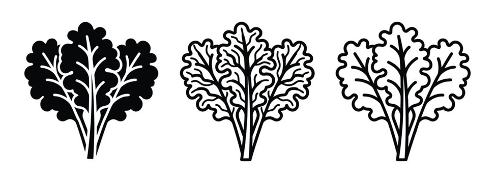 Kale leaf icons in black and white Vector