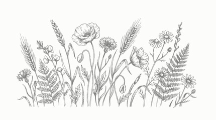 Wildflower Meadow Sketch Hand Drawn Floral Vector for Botanical Invitations, Organic Packaging & Nature Themed Stationery Designs (EPS) © Insa Batool