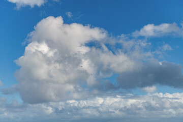 Fototapeta premium Morning sky with cloud. Sky and cloud formation. Weather cloudscape. Sky filled with cloud reflection. Overcast scene. Cloudy sky view. Cloud drifting. Cloudy atmospheric backdrop