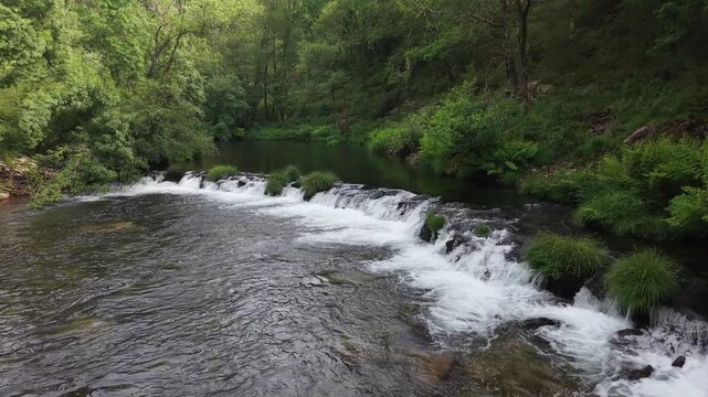Rio lerez river flowing over rocks surrounded by lush green trees and vegetation