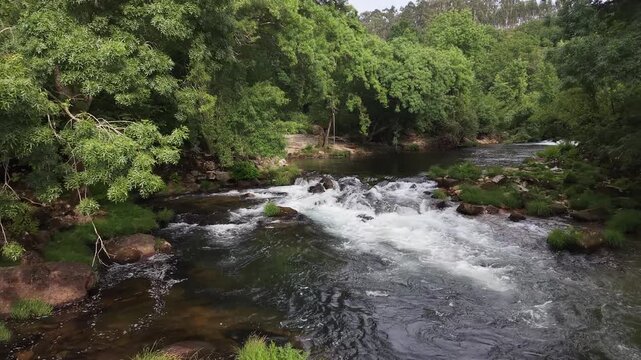 Rio lerez river flowing over rocks surrounded by lush green trees and vegetation
