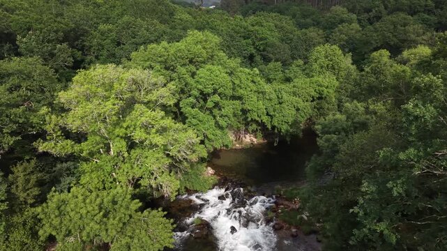 Rio lerez river flowing over rocks surrounded by lush green trees and vegetation