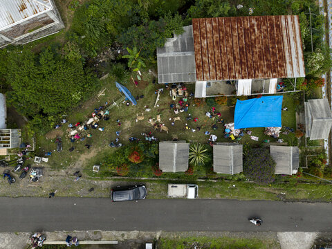 Aerial view of people gathering for the slaughter of sacrificial animals for Eid al-Adha in a yard with rusty roofs and lush greenery in Kecamatan Kalikajar, Jawa Tengah, Indonesia.