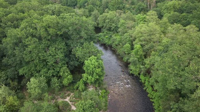 Rio lerez river flowing over rocks surrounded by lush green trees and vegetation