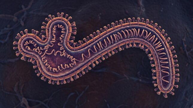 3d illustration of ebola virus particle
