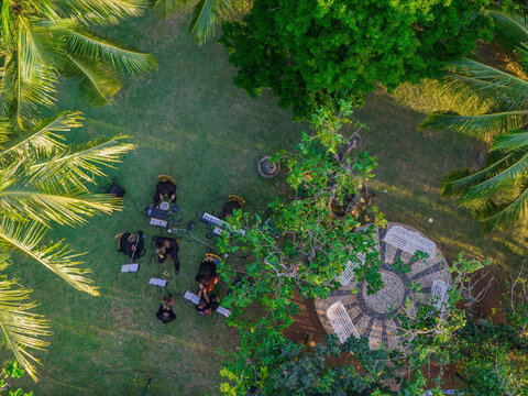 Aerial view of a musical ensemble performing on a lush green lawn surrounded by palm trees and tropical foliage in Brazil.