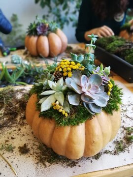 Finished pumpkin succulent centerpiece on craft table with workshop scene in background