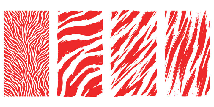 Set of four abstract red and white tiger stripe patterns for creative graphic design and modern background textures