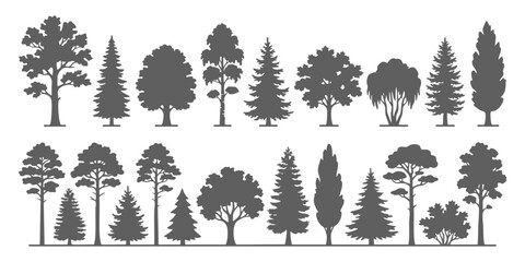 Set of various tree silhouettes collection including coniferous pine spruce and deciduous oak forest plant shapes © GraphixEra