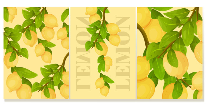 Poster set. Cartoon lemon. Pattern of lemon tree branches on a dark background. Large lemons on a branch. Stylized lemons. Citrus fruit. Simple vector illustration.