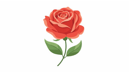 Fototapeta premium Beautiful Red Rose Flower Closeup View 3.